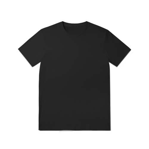BIG FAN T-SHIRT
